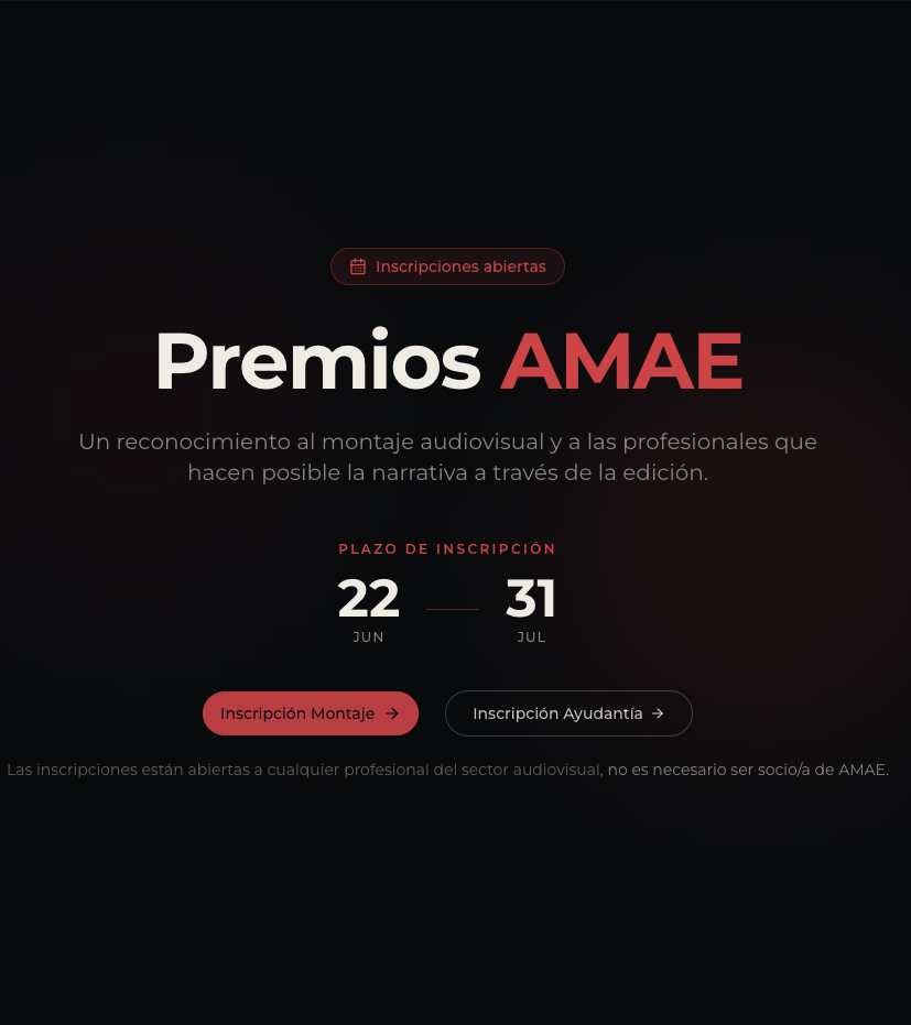 II Premios AMAE